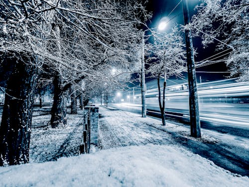 Free Snow Covered Road Between Bare Trees during Night Time Stock Photo