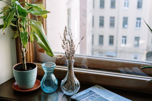 Безкоштовне стокове фото на тему «ваза, вдома, вид»