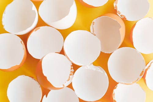 Free Broken Eggshells on a Yellow Background Stock Photo