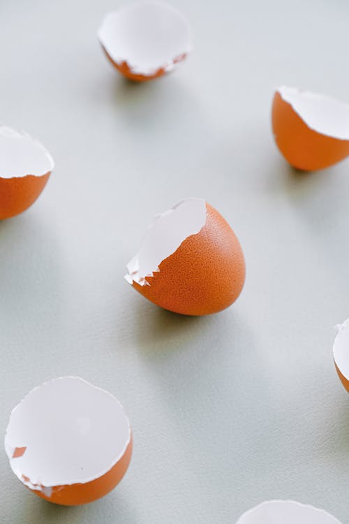 Free Eggshells on a White Background Stock Photo