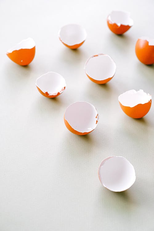 Broken Eggshells on a Plain Background