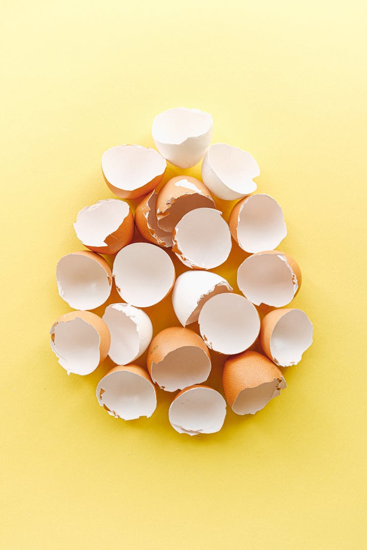 Eggshells In The Shape Of An Egg