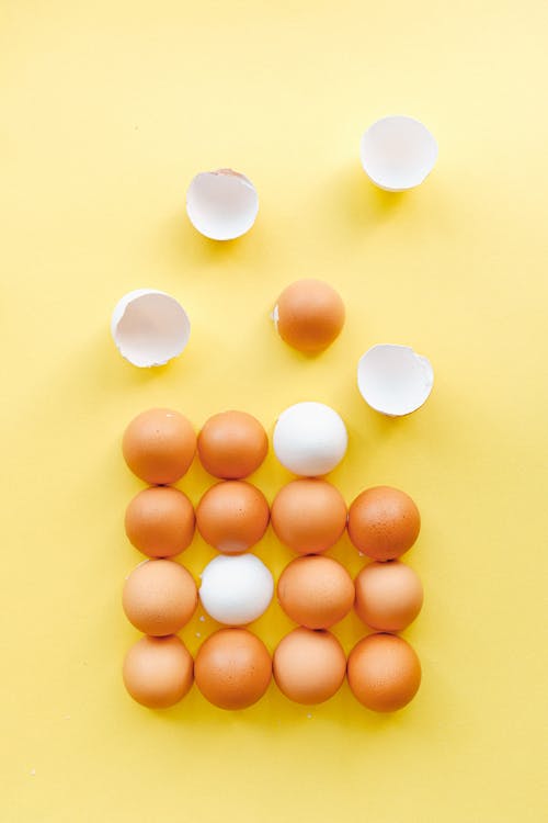 黄色の背景の上の卵