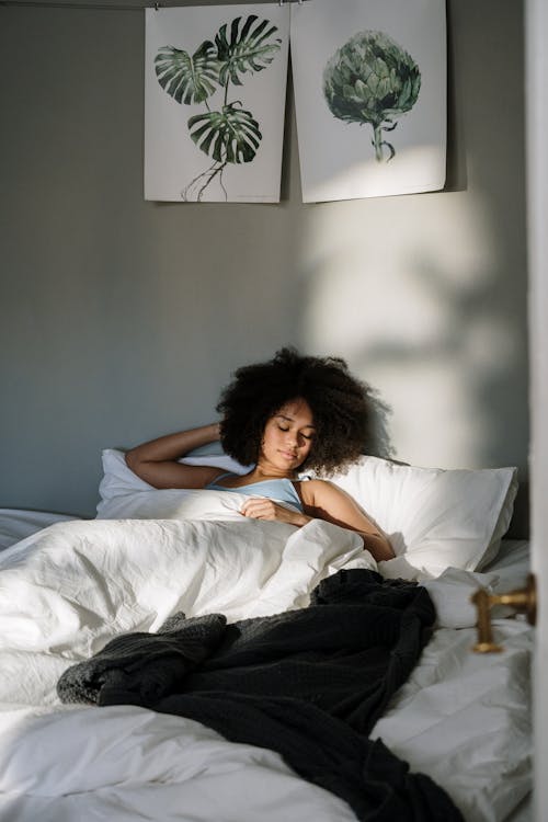 Free stock photo of afro, afro hair, at home