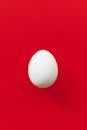 Egg on a Red Background