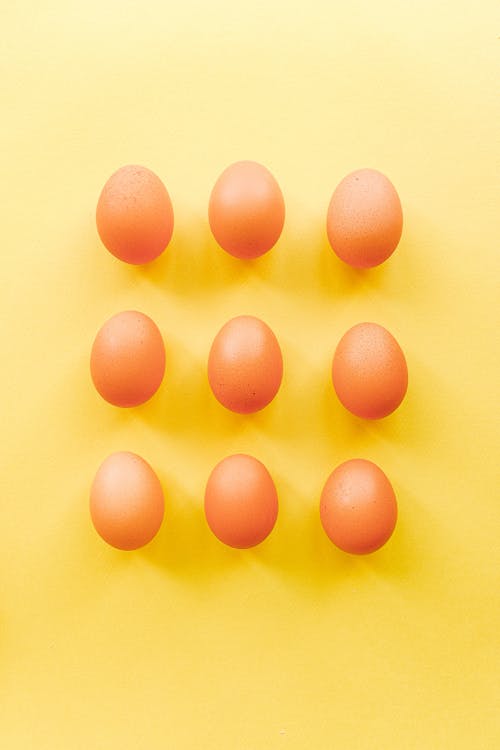 노란색 바탕에 계란