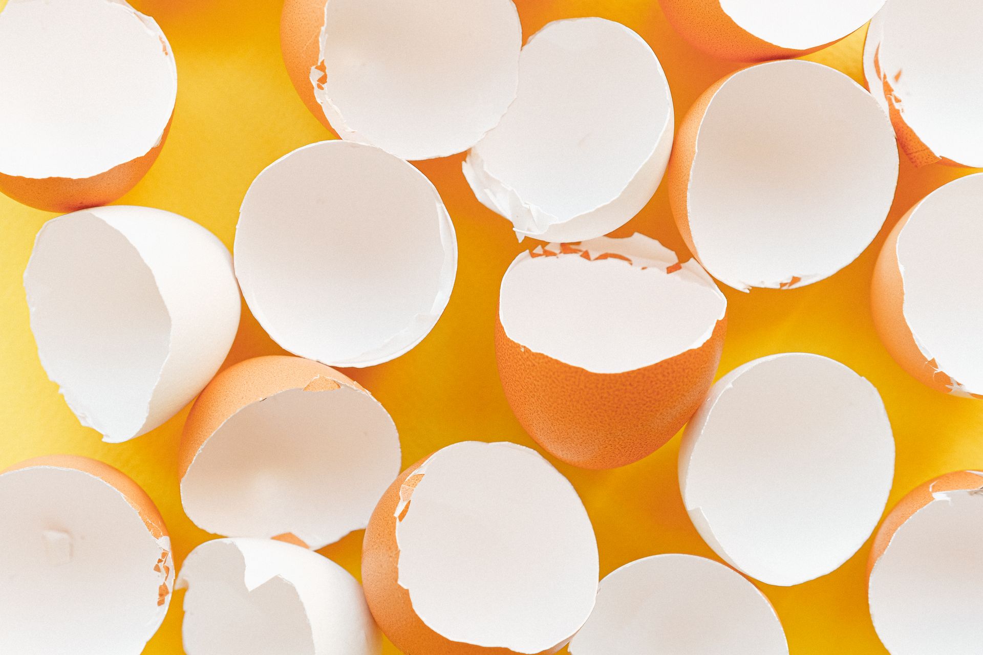 Eggshells on a Yellow Background