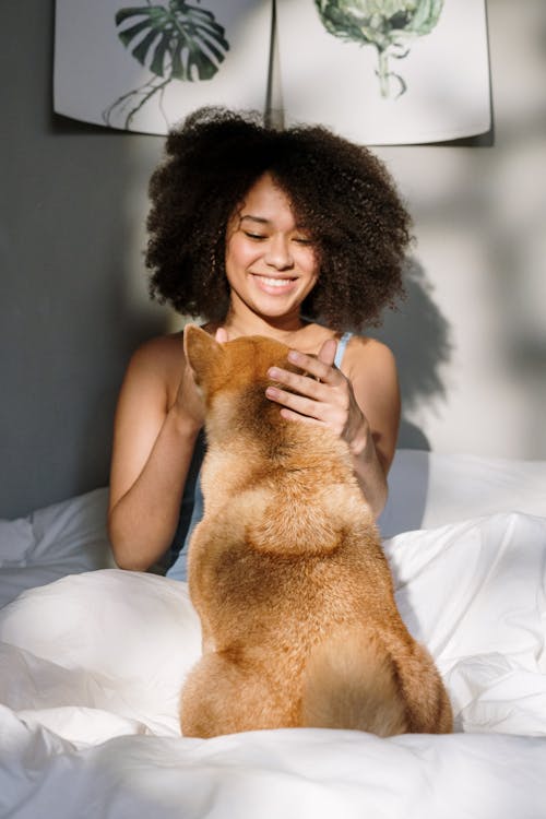 Foto d'estoc gratuïta de a casa, afro, aïllament