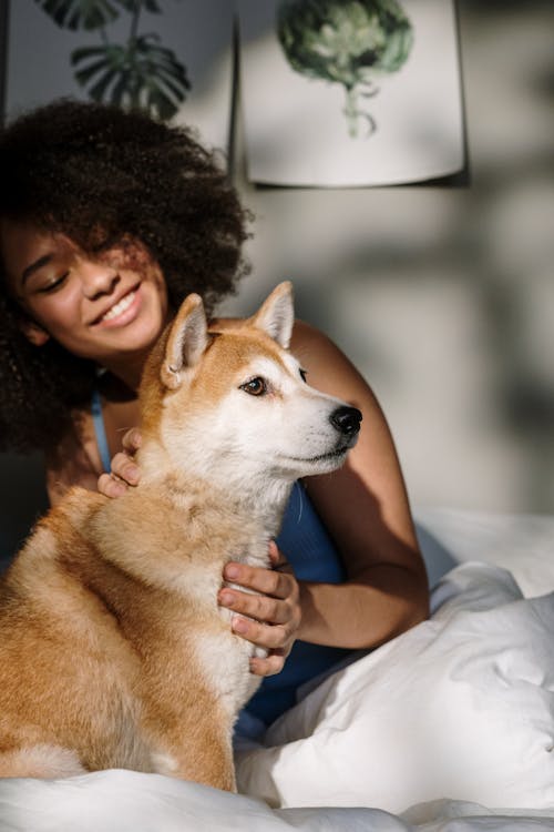 Free stock photo of afro, afro hair, at home Stock Photo