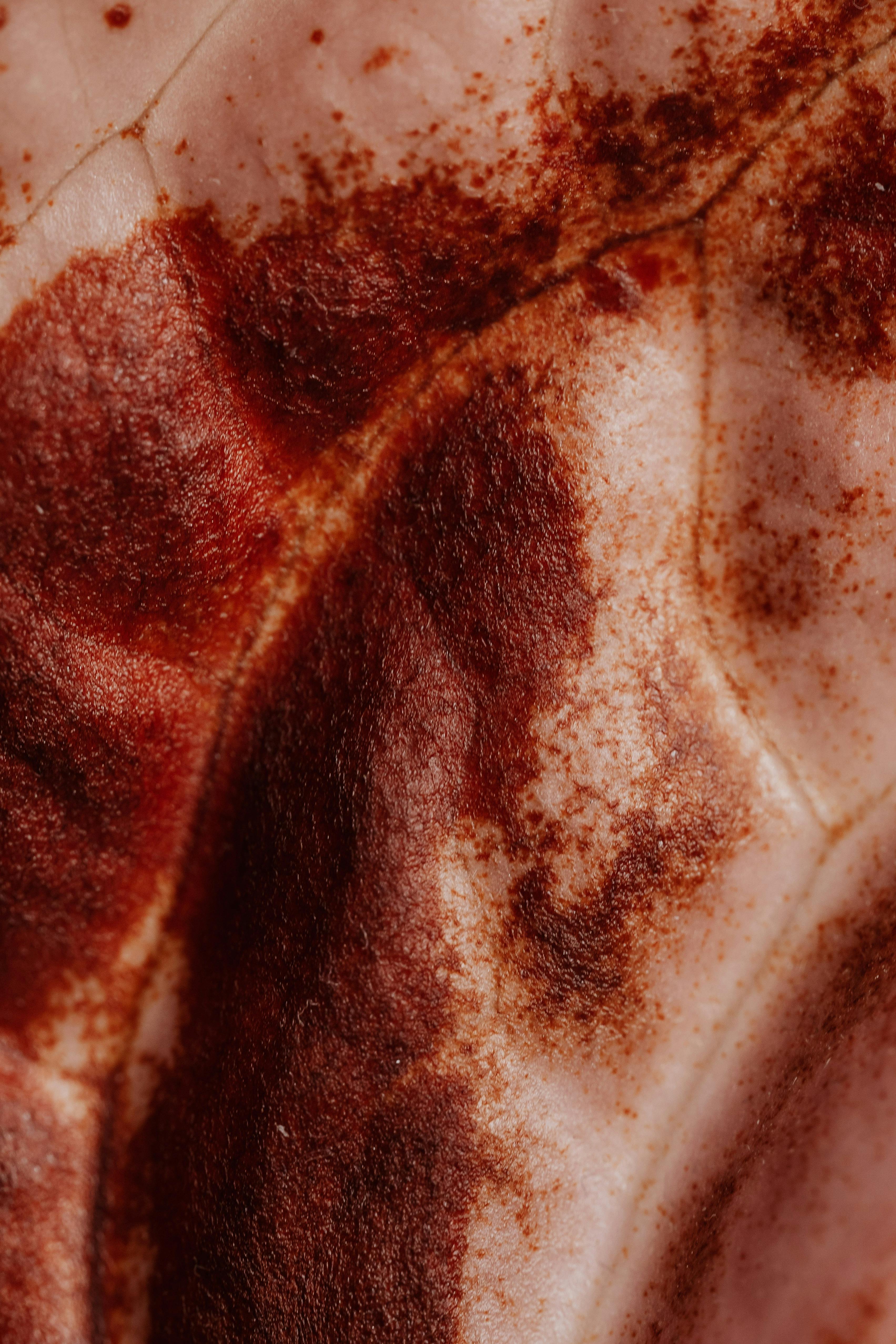 Detailed macro shot of a textured dry anthurium flower with rich color tones.