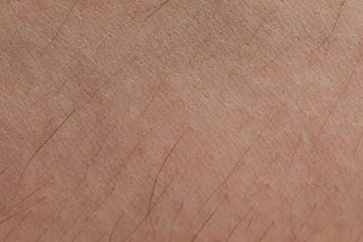 人体皮肤纹理与毛囊的细节特写