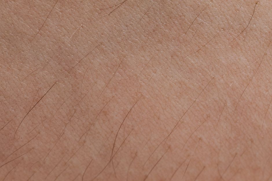 Detailed close-up of human skin texture and hair follicles.