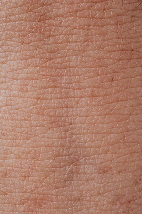 Close-up View Of Human Skin