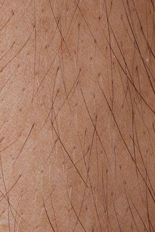 Free Close-up View Of Human Skin With Hair Stock Photo