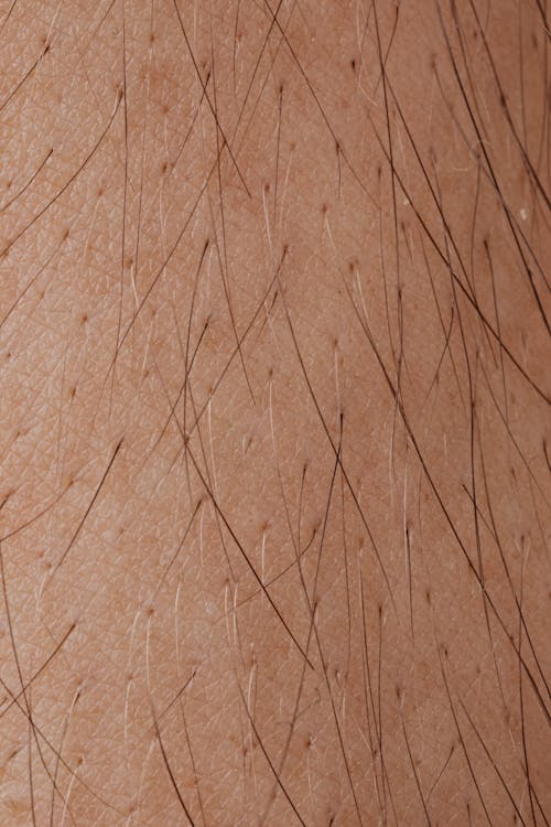 Close-up View Of Human Skin With Hair