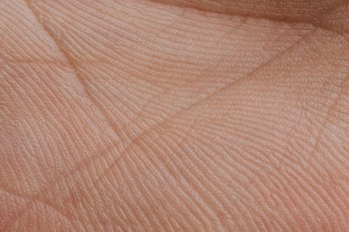Free Close-up View Of Human Palm Stock Photo