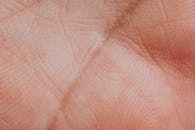 一张人类手掌线条的宏观特写照片