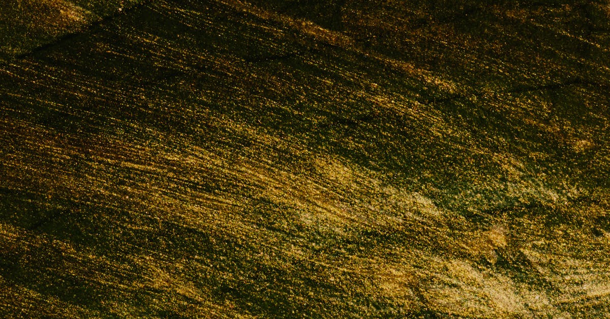 A modern living room with walls painted in a trendy shade of sage green.