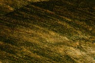 纹理表面特写呈现出金色和绿色色调，形成抽象图案