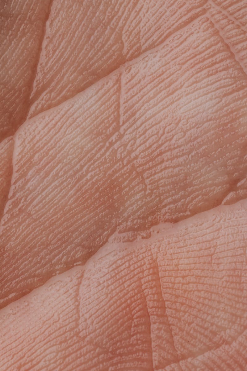Hand Palm Close Up Photo