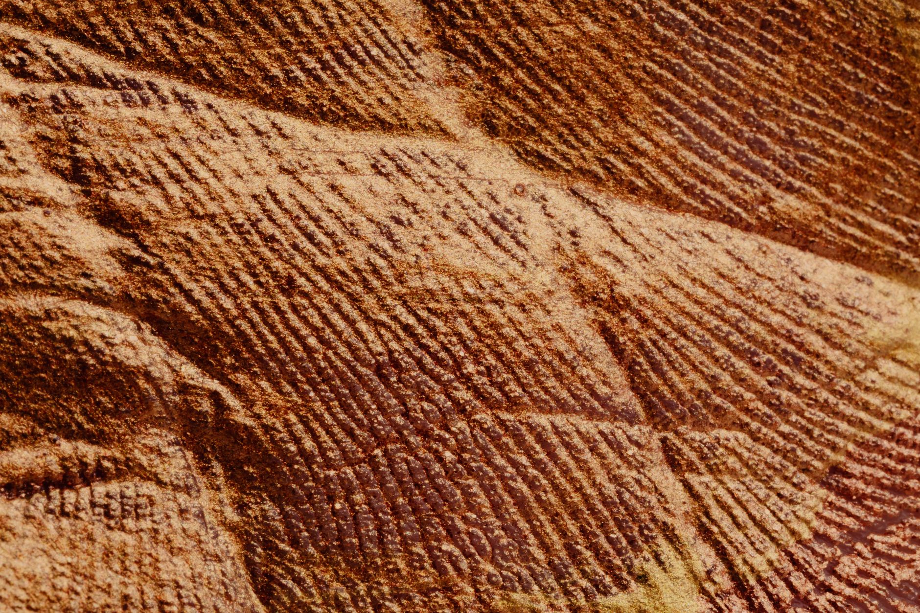 Ancient city lidar scan — Curiosidades