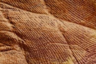 棕色沙子的特写细节，图案纹理复杂，呈现出自然的抽象设计