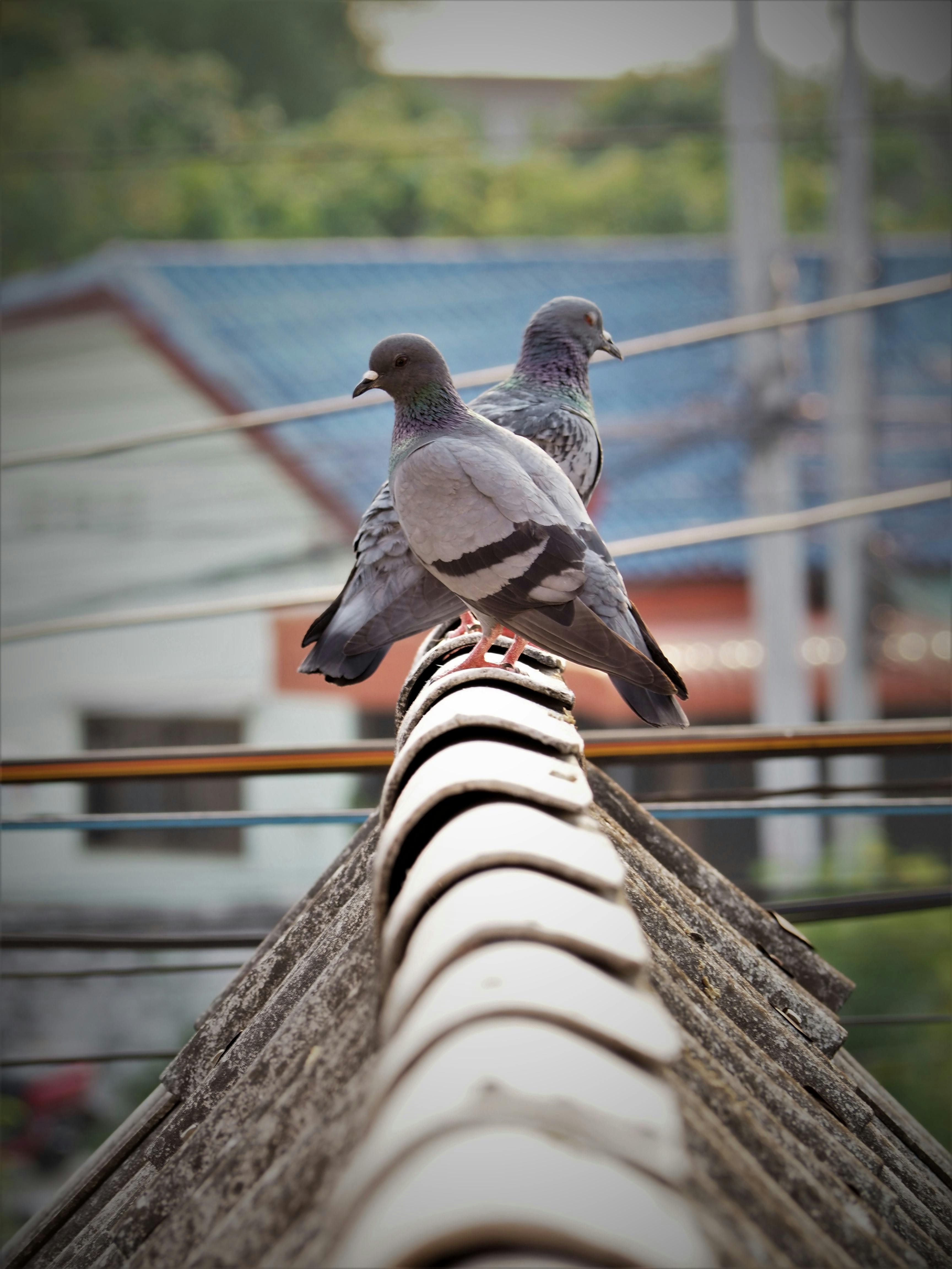 Kit Sensorial de Lujo
