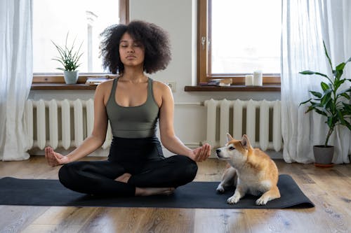 Free Woman Doing Yoga Beside her Dog Stock Photo