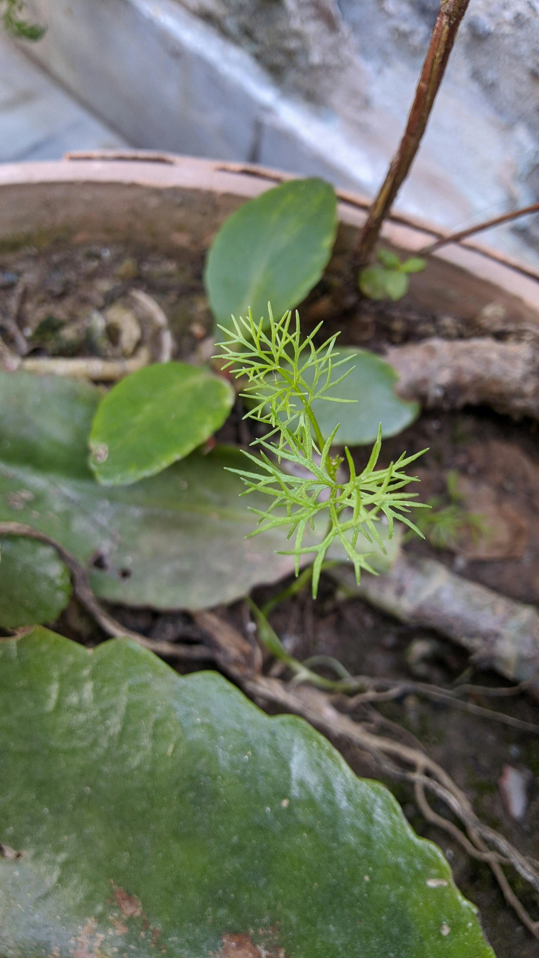 Self-Care & Wellness