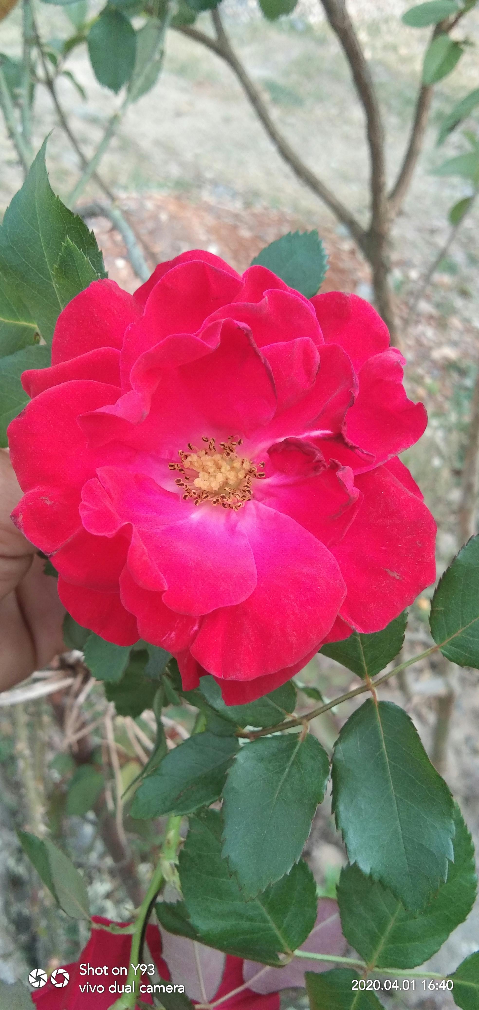 ドローインエクササイズを練習する女性