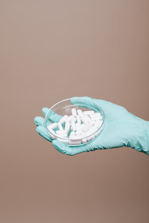 Free White Medicines on Petri Dish Stock Photo