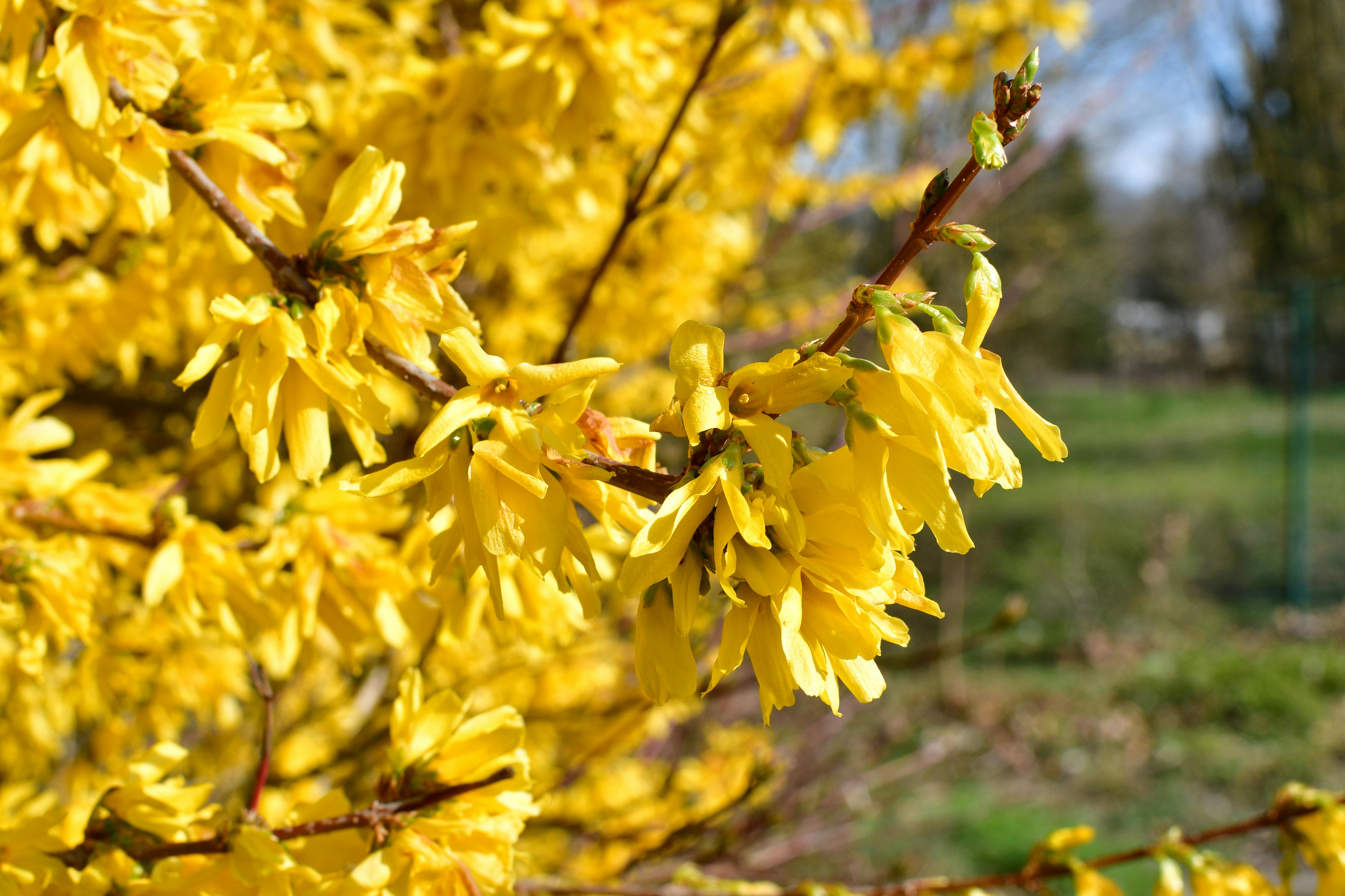 Doctor speaking compassionately with a patient in a clinic