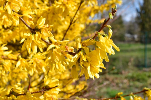 Lápiz labial mate melocotón