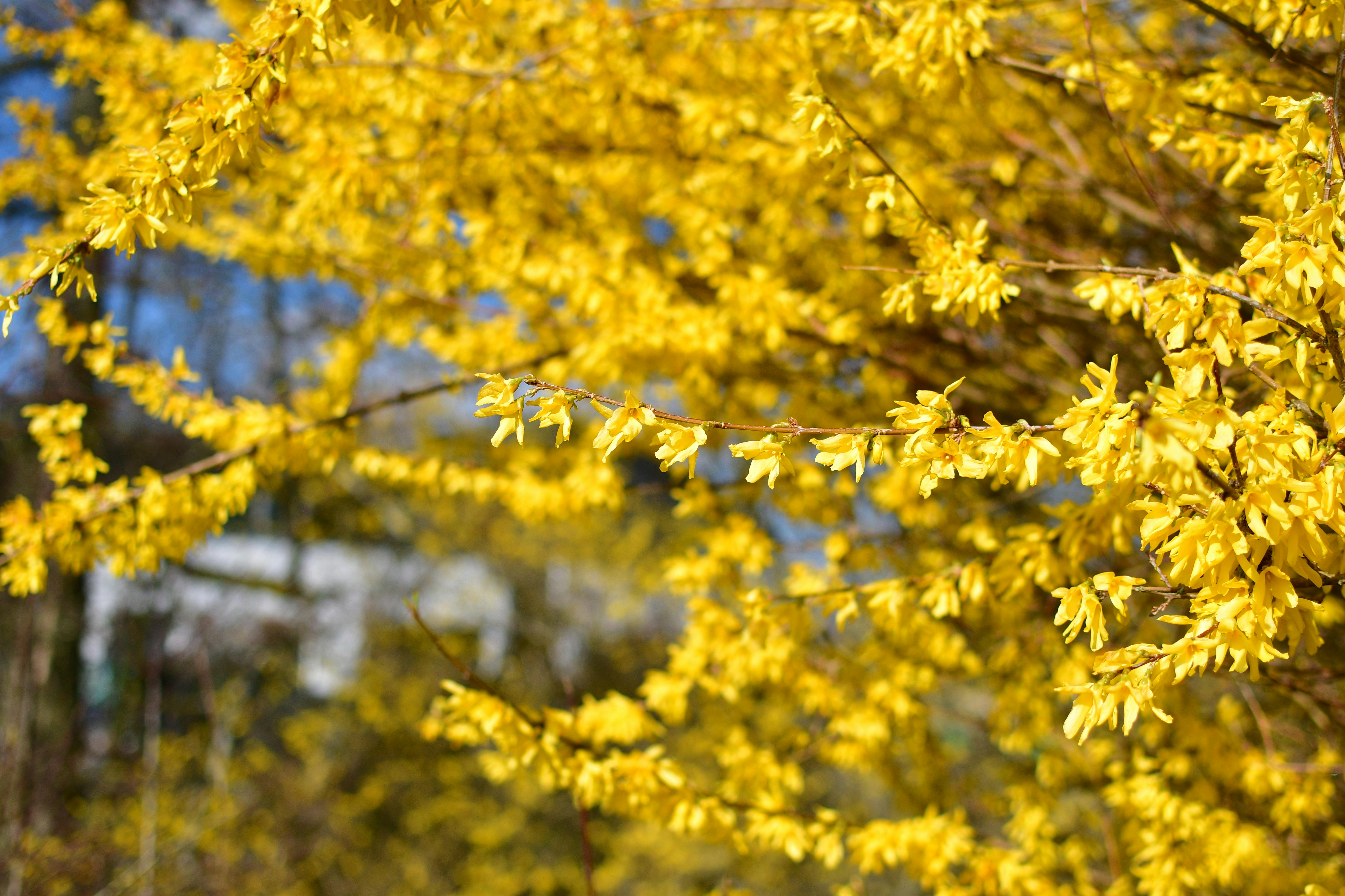 Frau macht Yoga und Beckenbodenübungen