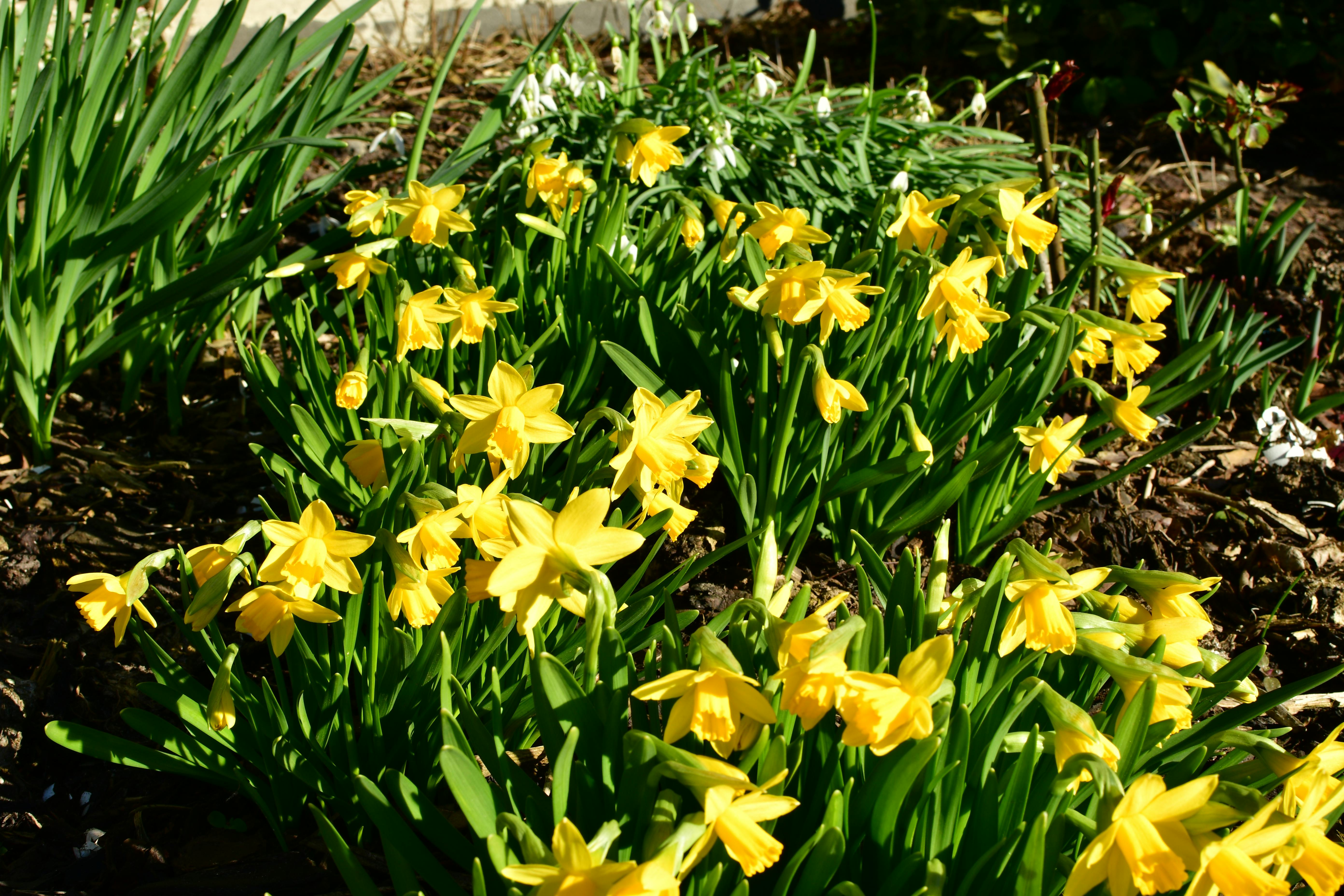 Frau macht Rückbildungsübungen nach der Geburt