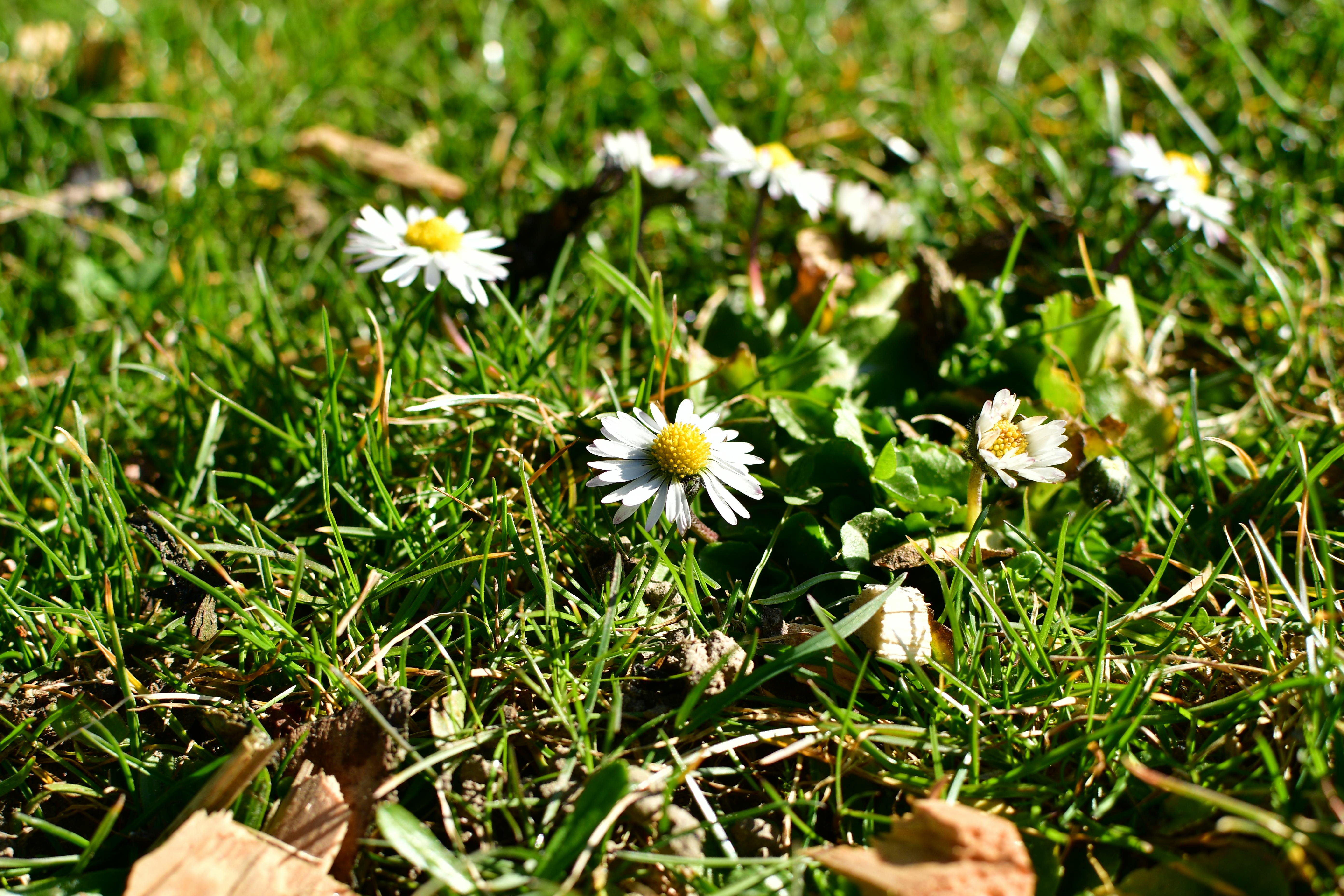 Frau konzentriert sich auf Atemübung