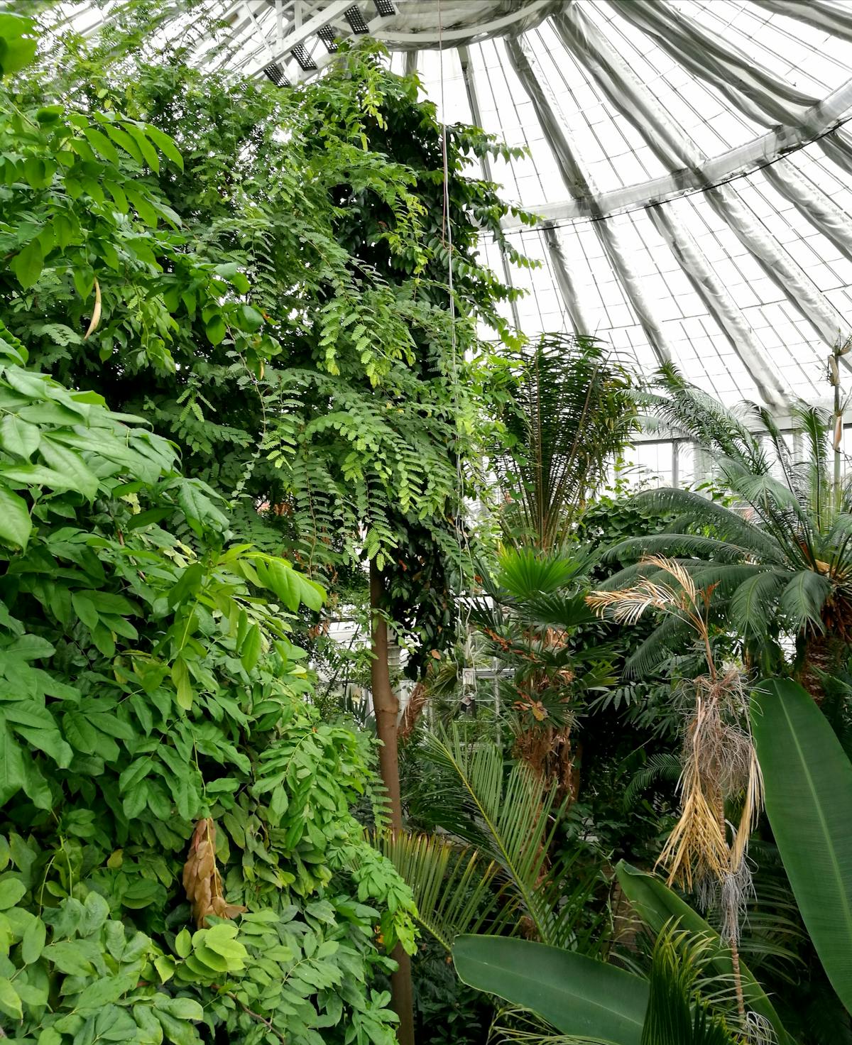 Hamilelikte Beslenme Rehberi: Anne ve Bebek Sağlığı İçin İpuçları ve Öneriler