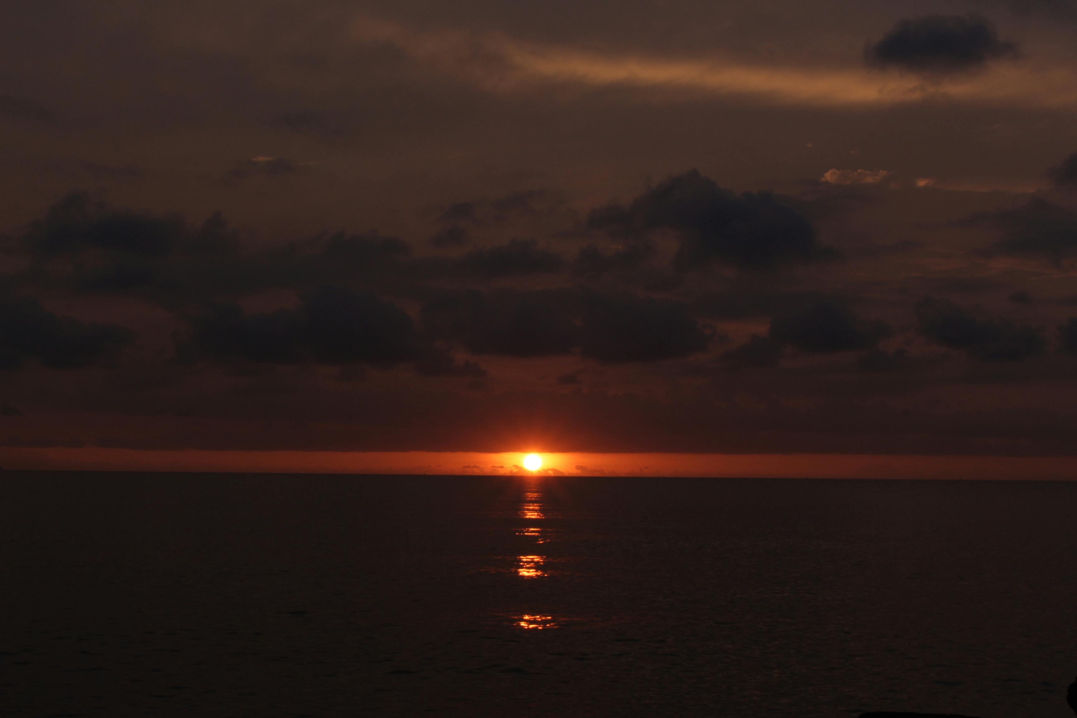 Hamilelikte Beslenme Rehberi: Sağlıklı Bir Gebelik İçin İpuçları ve Öneriler