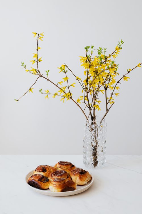 Free Tasty homemade cinnamon rolls paired with a forsythia branch in a minimalist still life setting. Stock Photo