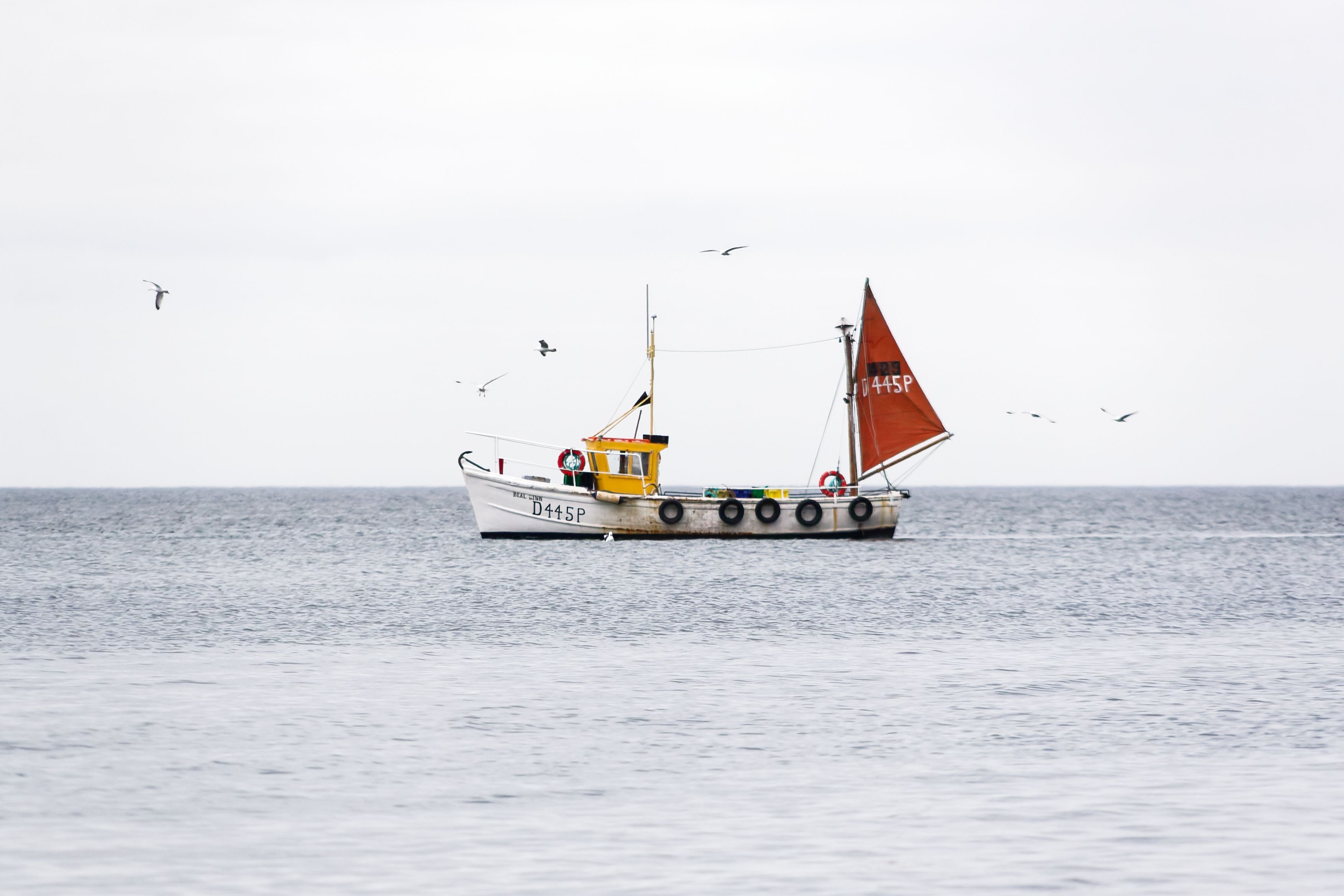 Coastal Escapes from Dublin: Howth and Malahide as Day Trips