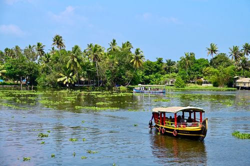 Free Explore the tranquil beauty of Kerala's backwaters with a traditional shikara boat surrounded by lush palm trees. Stock Photo