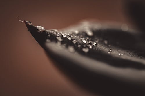 Free Water Dew on Black Surface Stock Photo