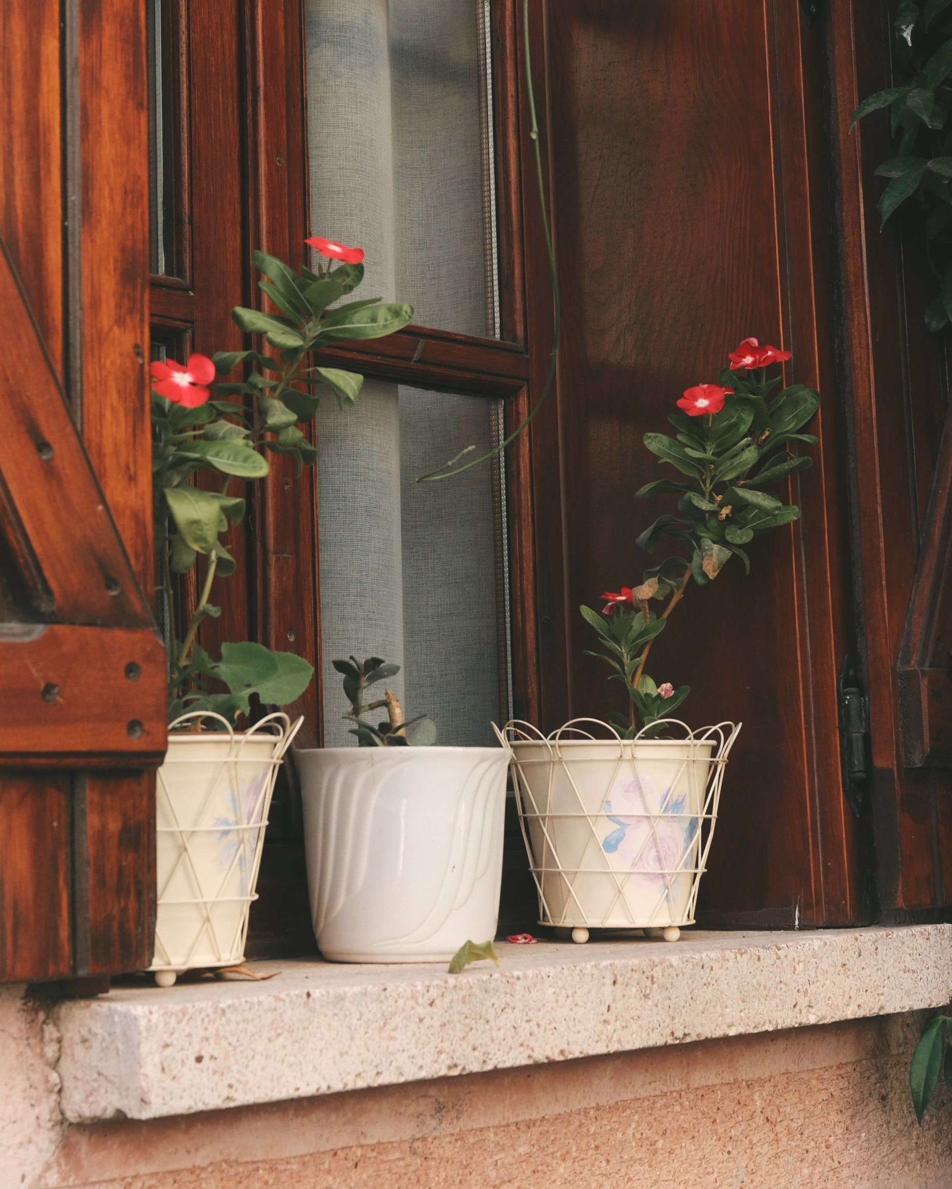 Charming Window Sill with Potted Plants Outdoors · Free Stock Photo