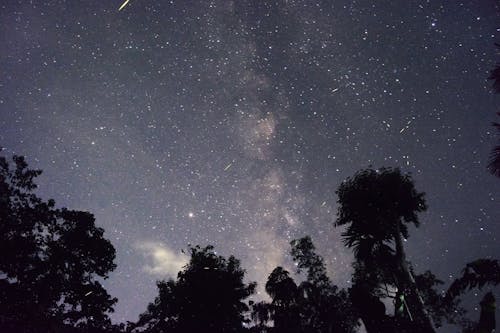 Scenic View Of Night Sky