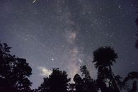 星空景色与树木的轮廓令人惊叹，捕捉到了宇宙的宁静之美