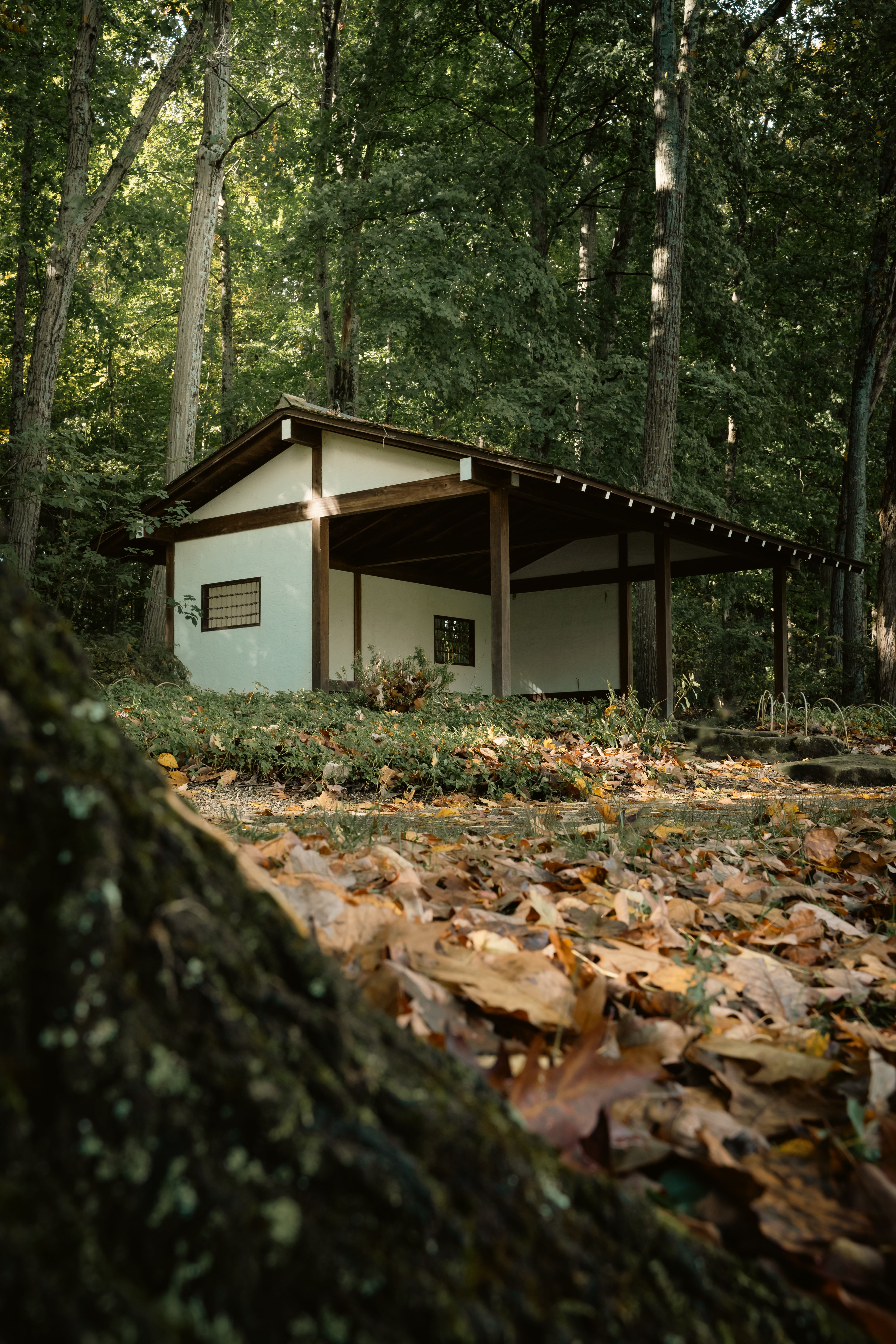 Serene Cabin in Autumn Forest Setting · Free Stock Photo