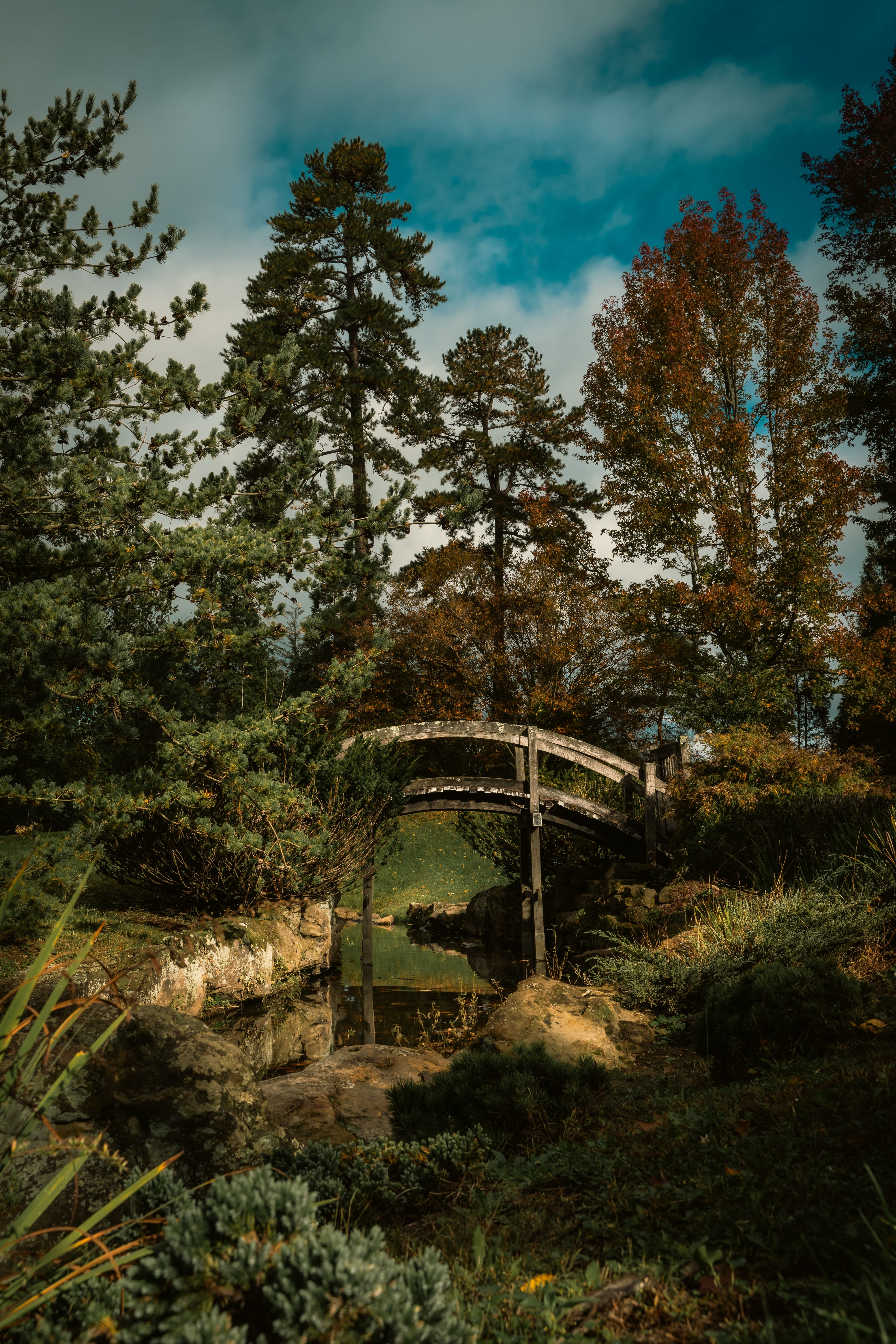Tranquil Wooden Bridge in Autumn Forest Landscape · Free Stock Photo