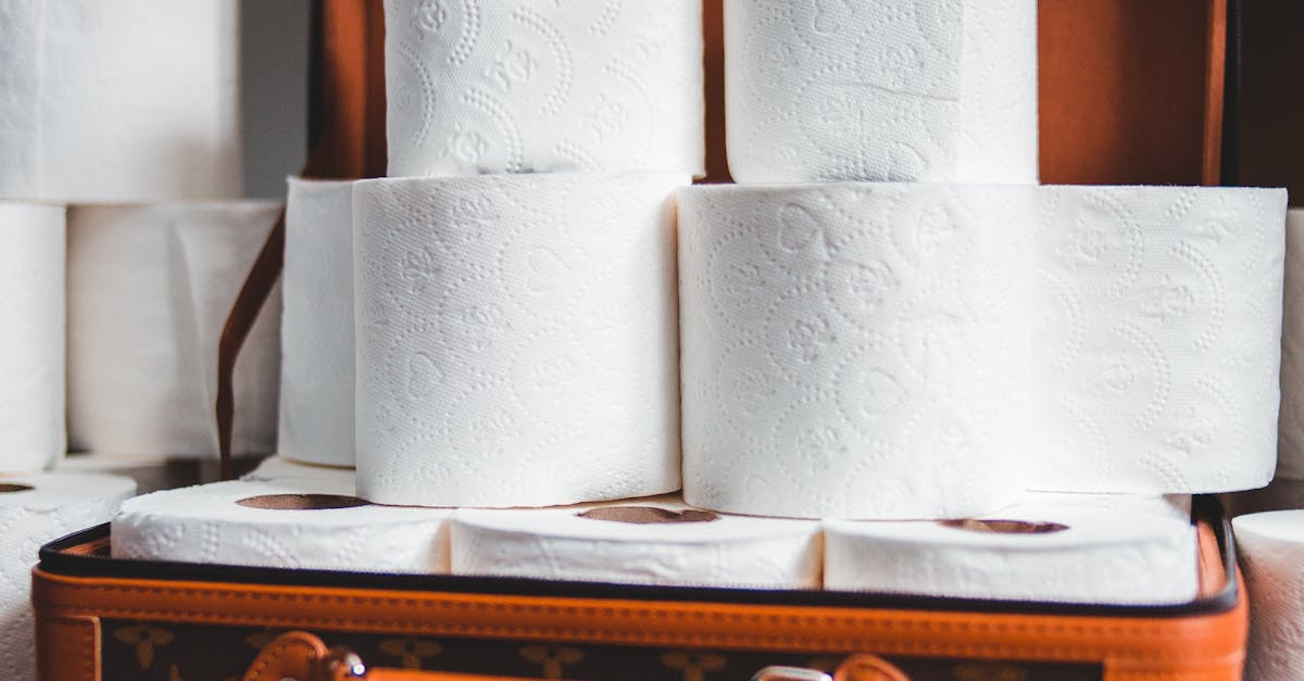 How to remove toilet paper holder from the wall