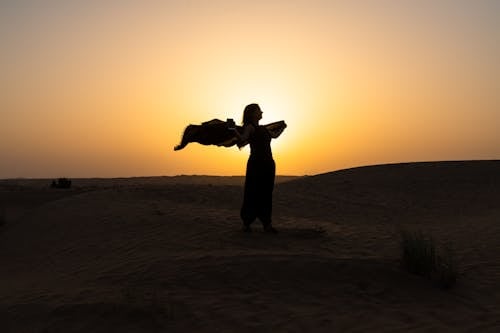 Free Silhouette of a Woman standing on the Desert Stock Photo