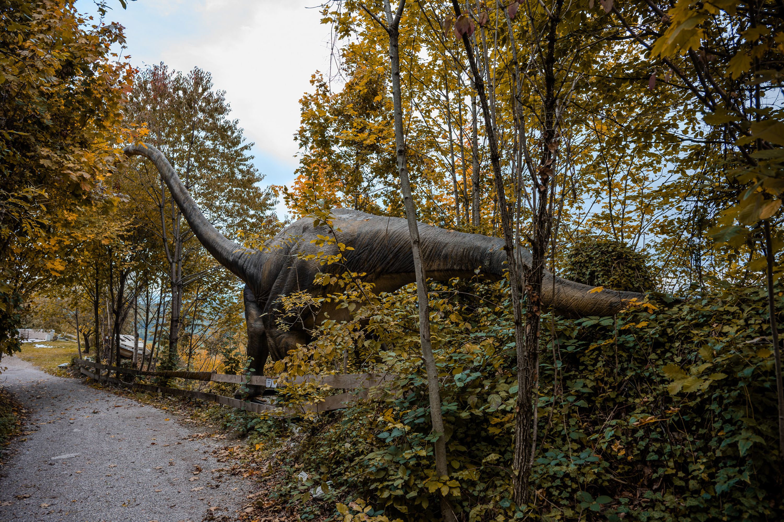 Dinosaur Statue in Lush Austrian Forest · Free Stock Photo